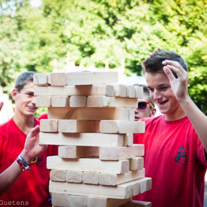 Jenga levensgroot